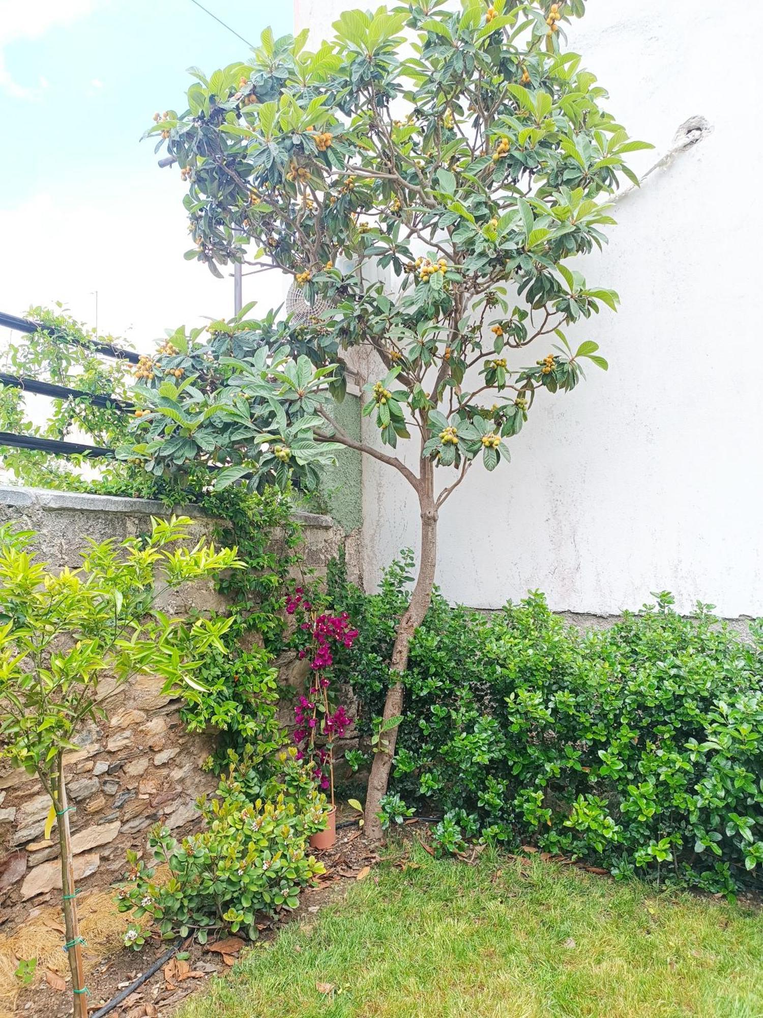 Néa AnkhíalosBetty'S Garden House别墅 客房 照片