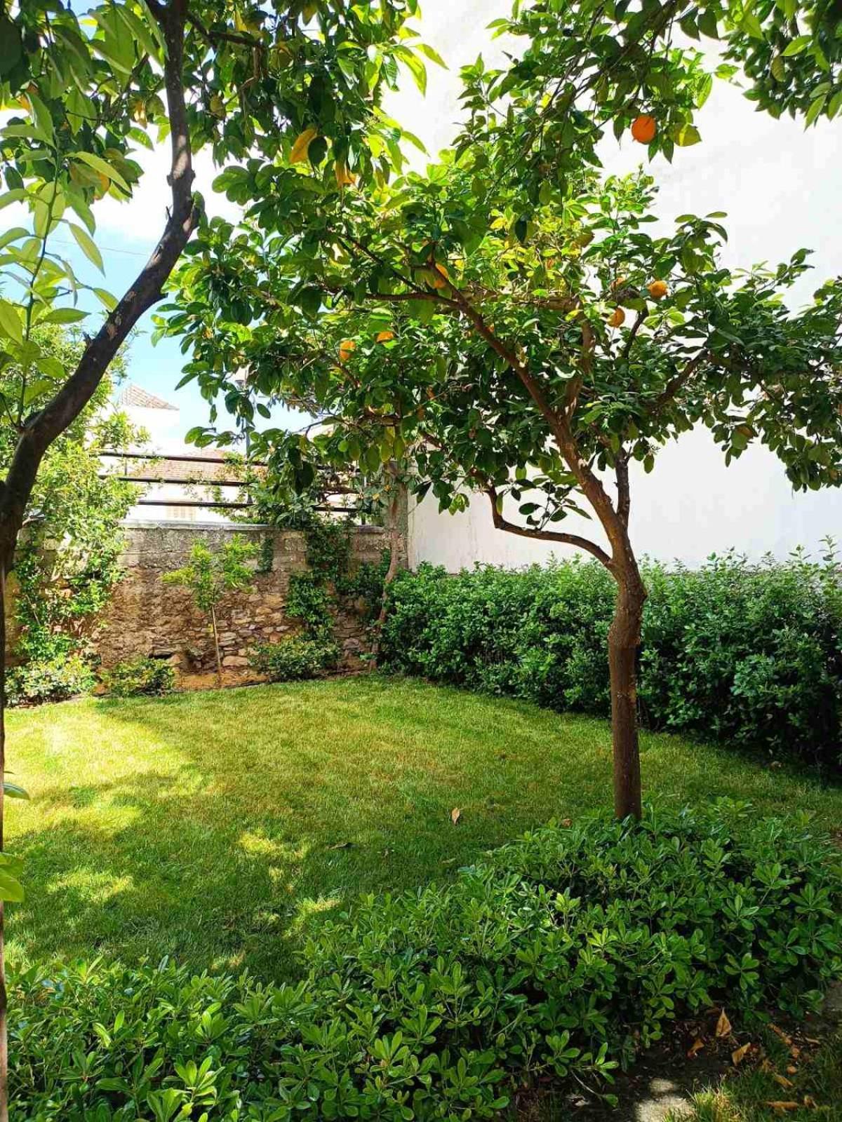 Néa AnkhíalosBetty'S Garden House别墅 外观 照片