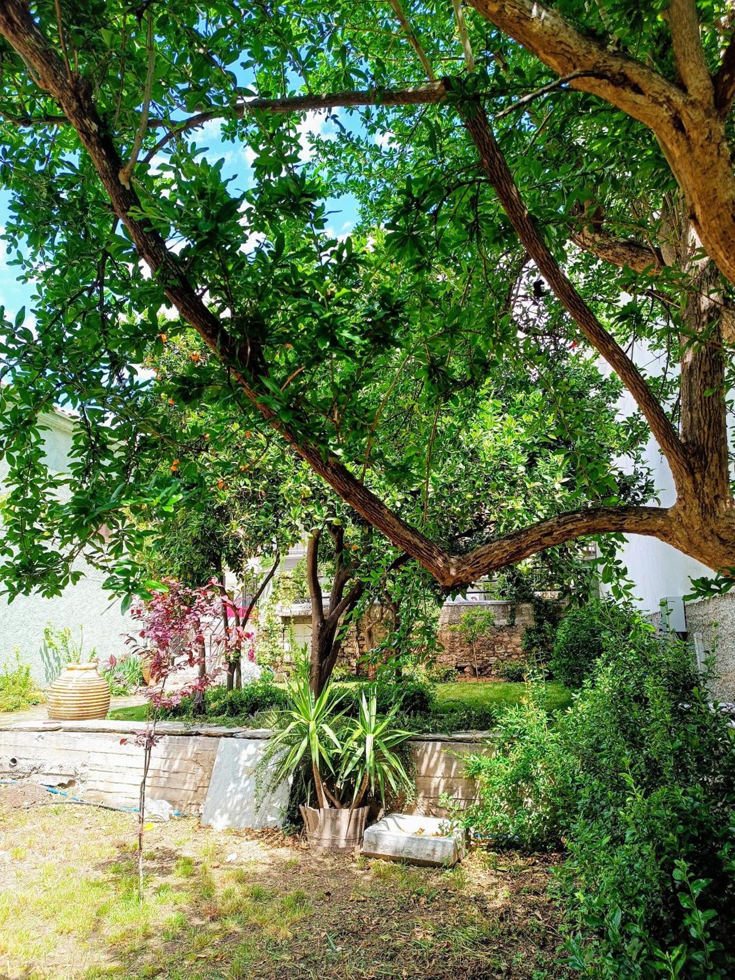 Néa AnkhíalosBetty'S Garden House别墅 客房 照片